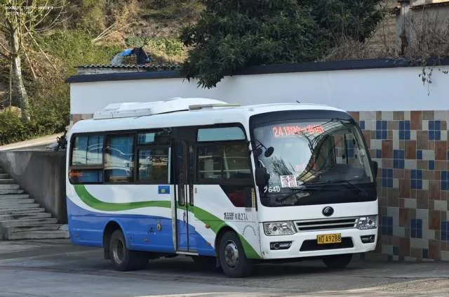 浙DA9288