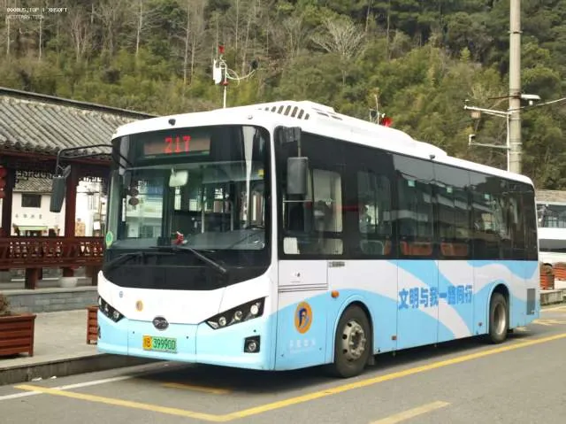 浙B39990D