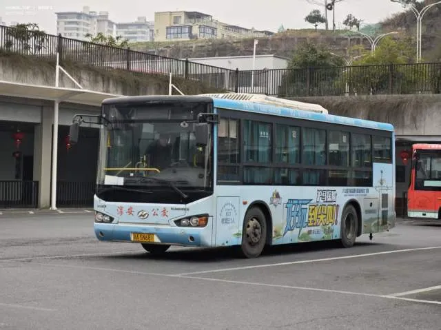 浙A5N681