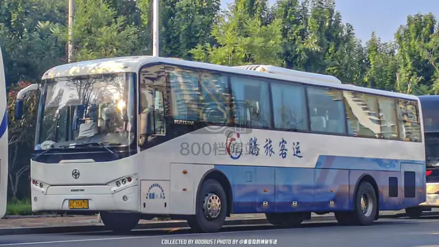 800BUS