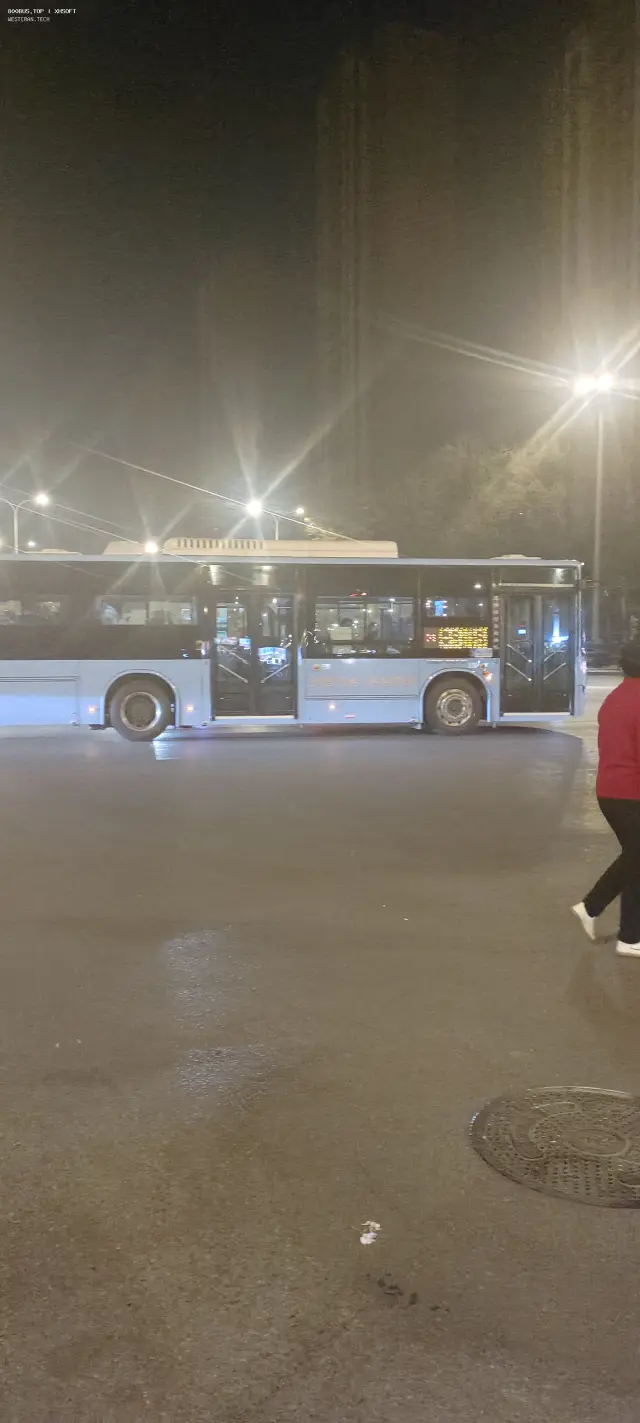 800BUS