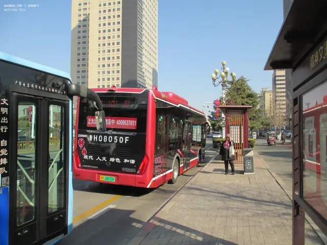 800BUS