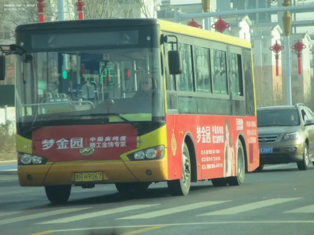 800BUS