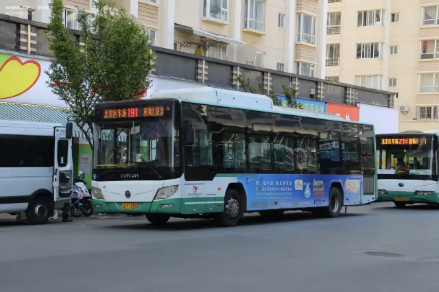 云AF1855【7994】