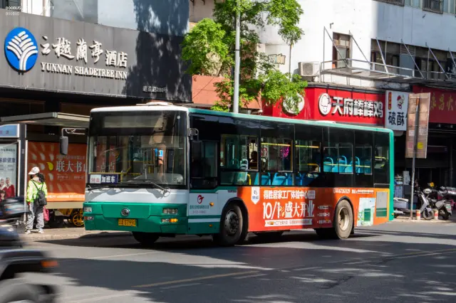 800BUS