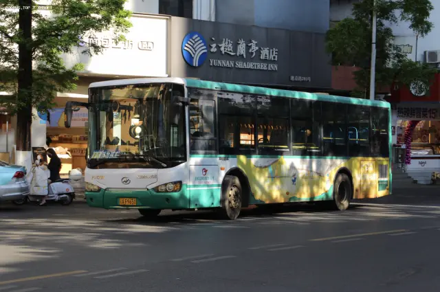 800BUS