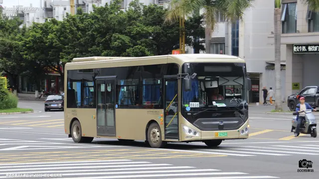 云G 02592D