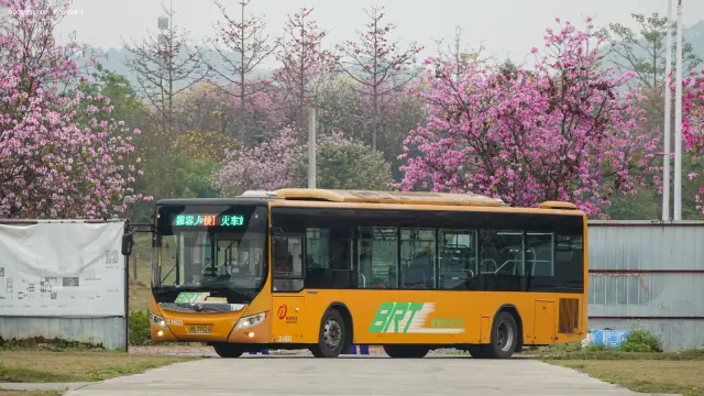 桂B 39526