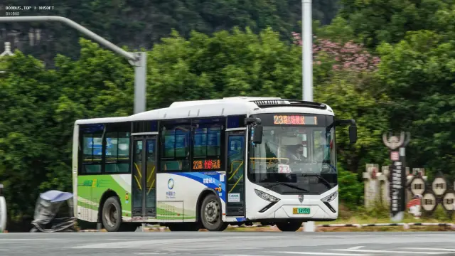 桂B 14999D