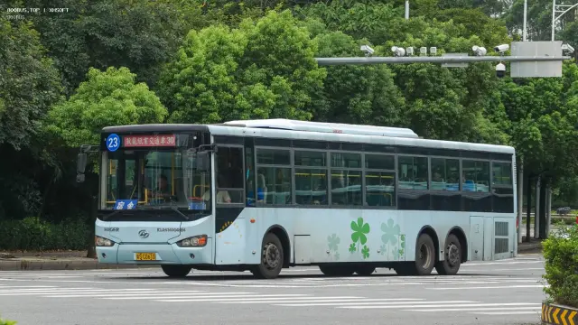 粤S C0610