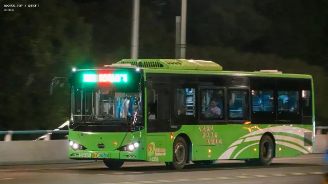 800BUS