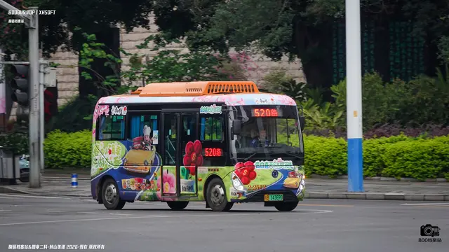 800BUS