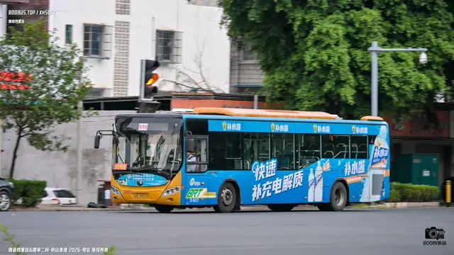 800BUS