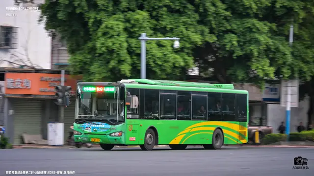 800BUS