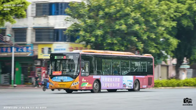 800BUS