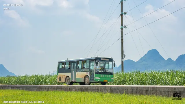 800BUS