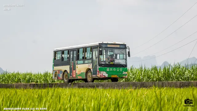 800BUS