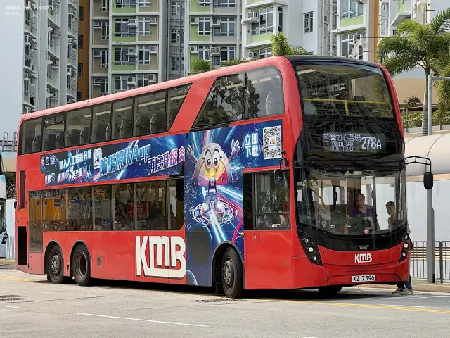 800BUS