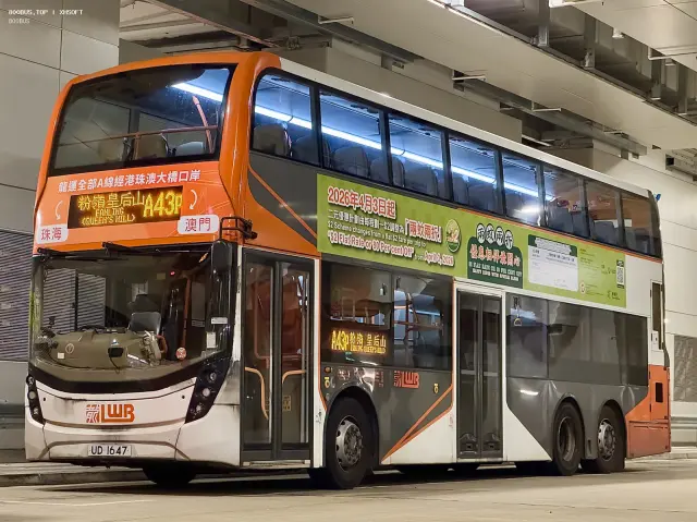 800BUS