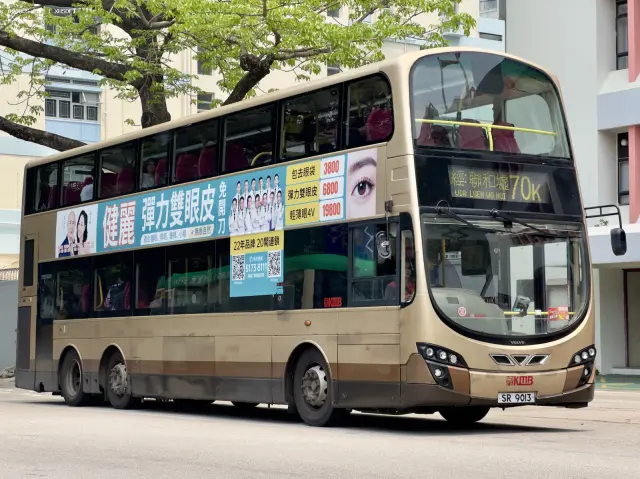 800BUS