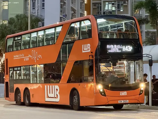 800BUS