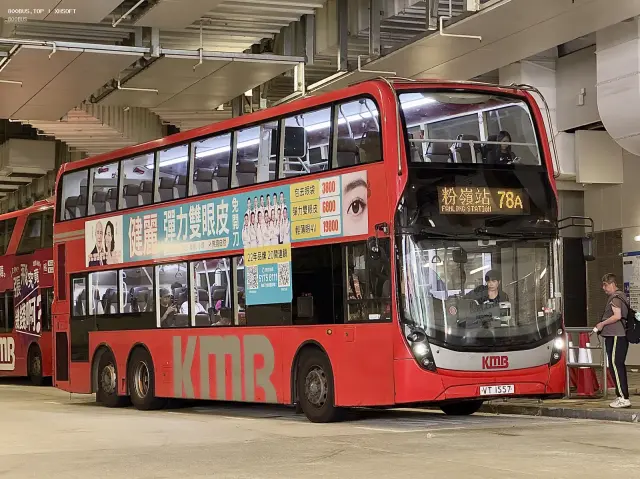 800BUS