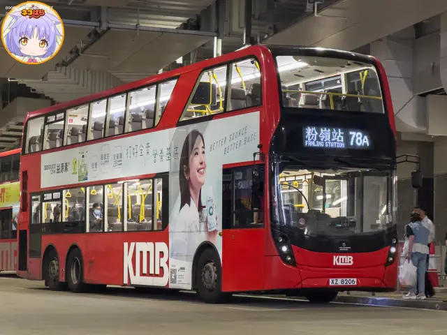 800BUS