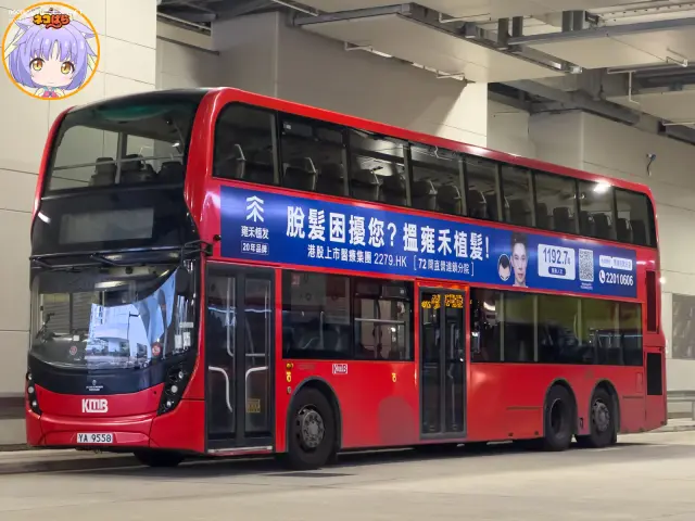 800BUS