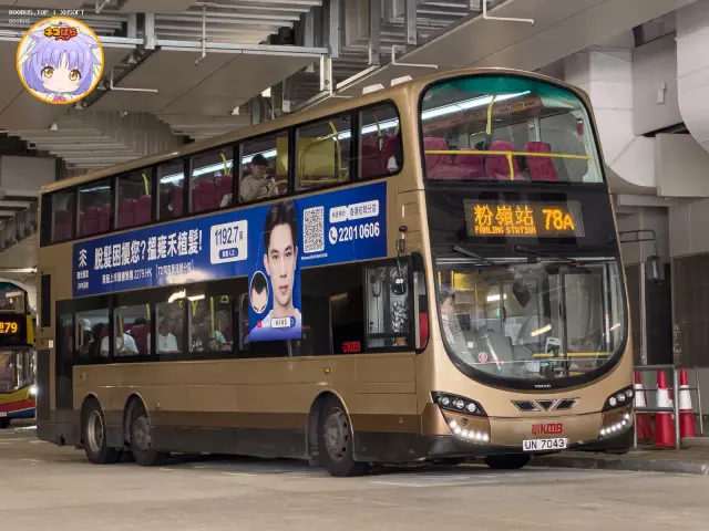 800BUS