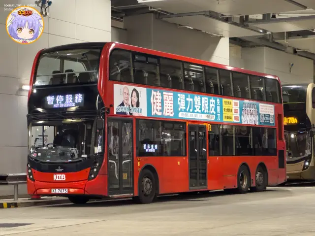 800BUS