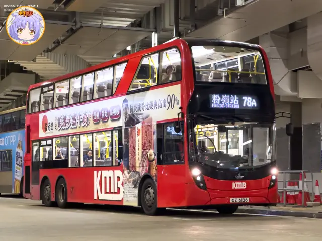 800BUS