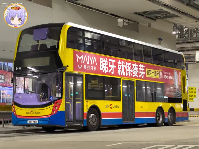 800BUS