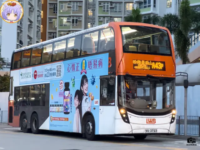 800BUS