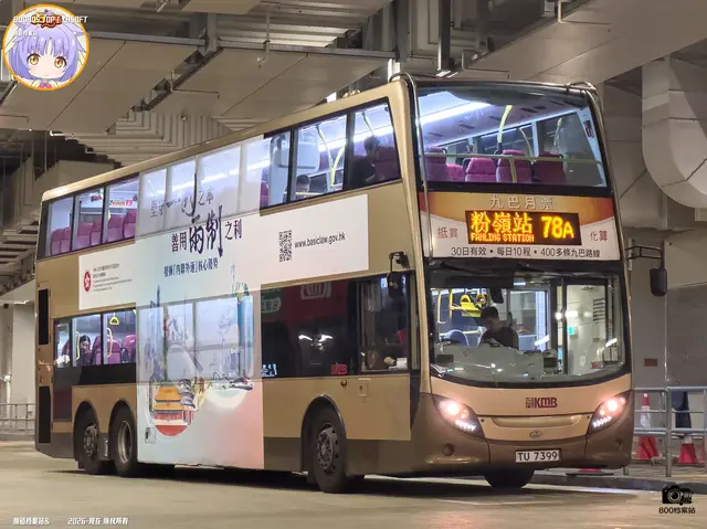 800BUS