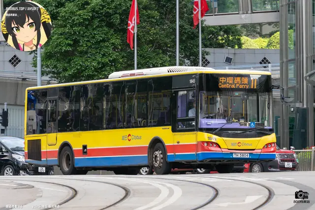 800BUS