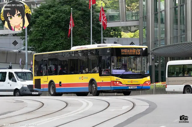 800BUS