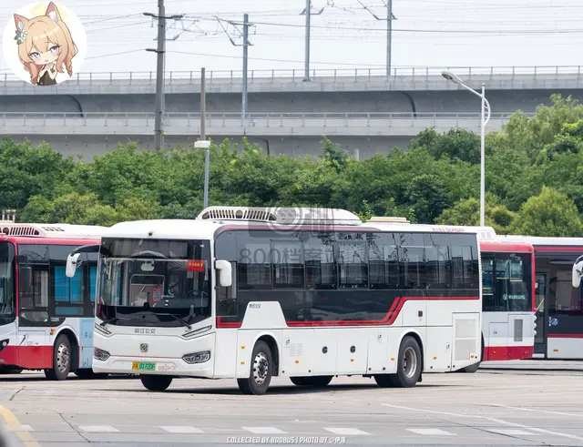 沪A 01720F