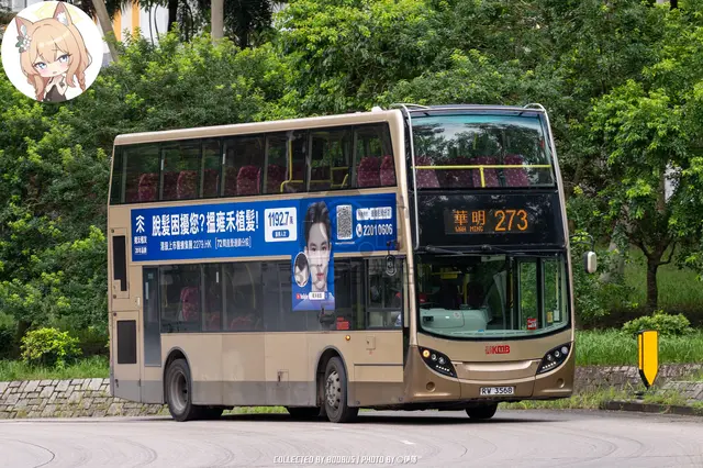 RW 3568