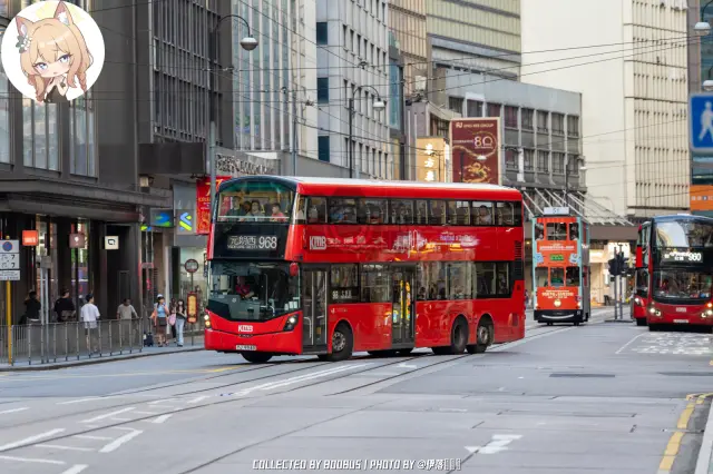 YJ 9948