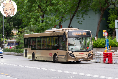 800BUS