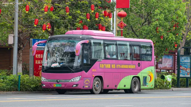 桂P 03258D
