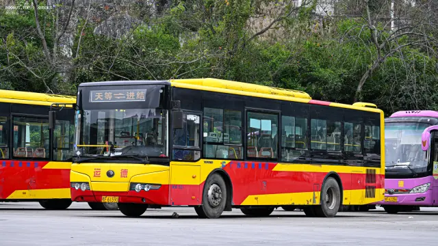 桂F 61590