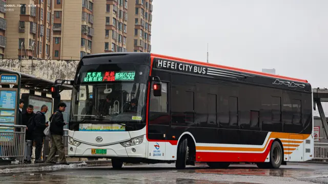 皖A 01187D