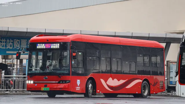 皖A 01982D