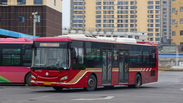 桂A P8929