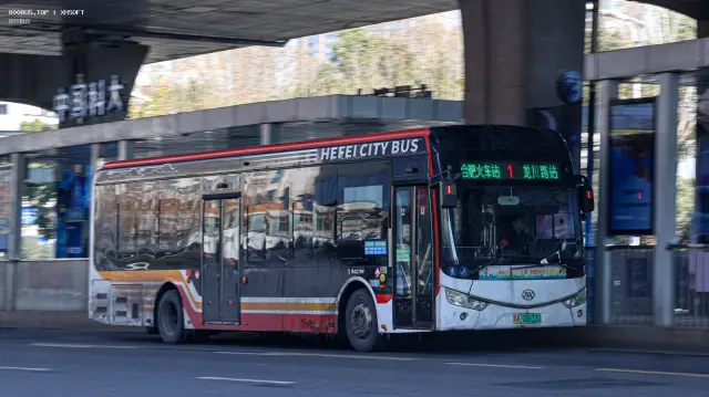 皖A 08833D
