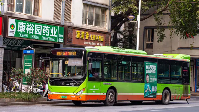 桂A 03393F
