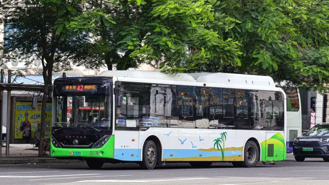 粤G 03329D