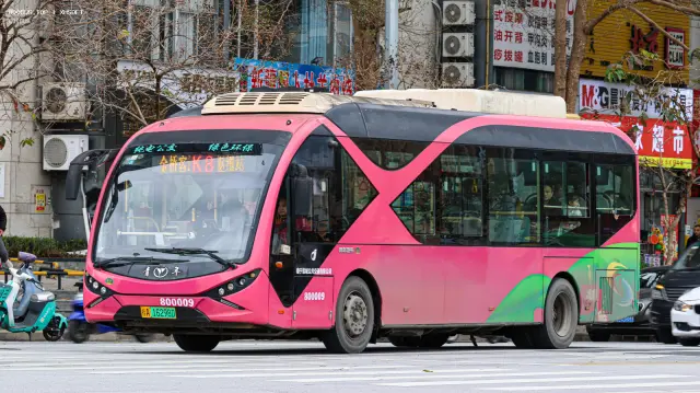 桂A 16298D
