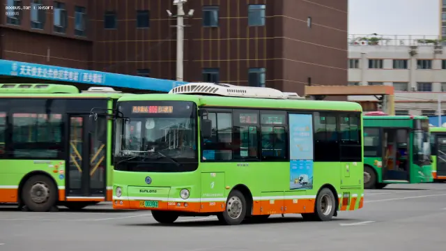桂A 00396D